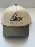 The OG Logo A-Frame Snapback (Cream/Sage)